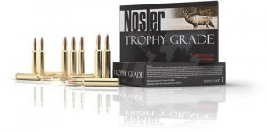Amunicja Nosler kal. .30-06 Sprg. 165g